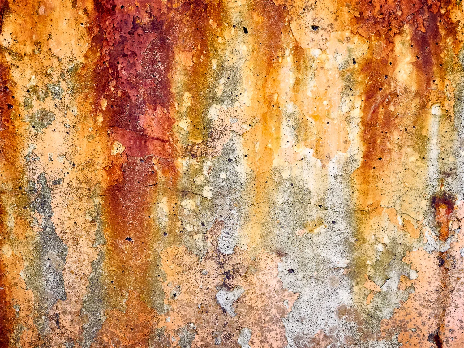 Metamorphosis #35