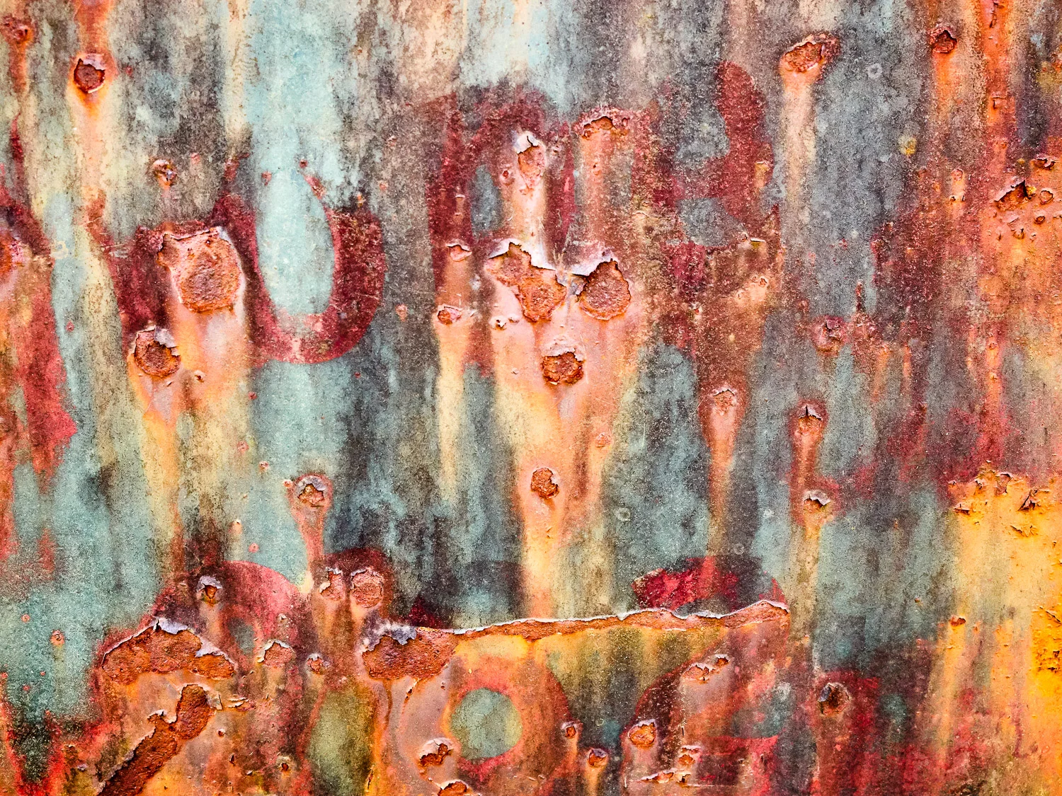 Metamorphosis #31