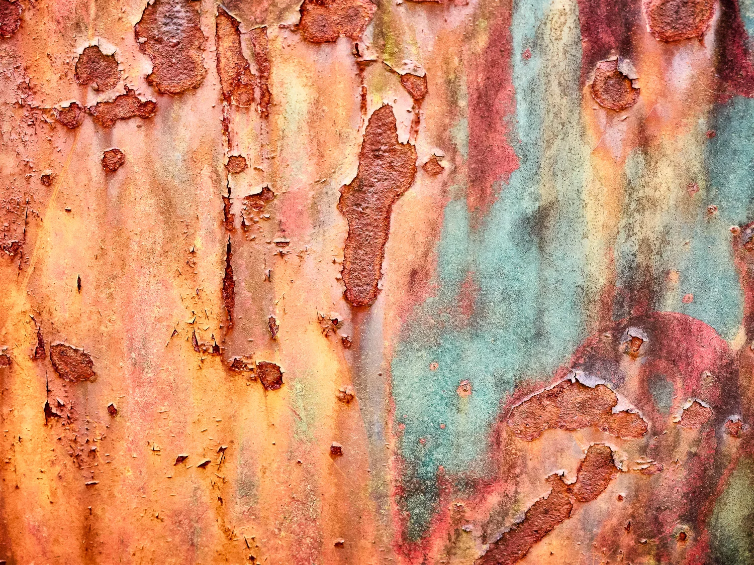 Metamorphosis #32