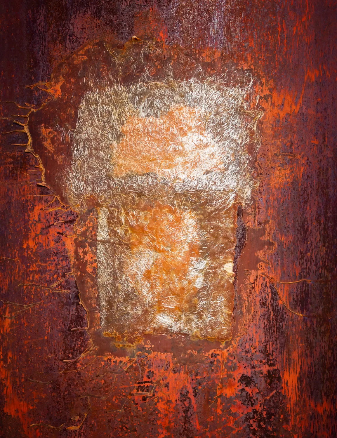 Metamorphosis #1