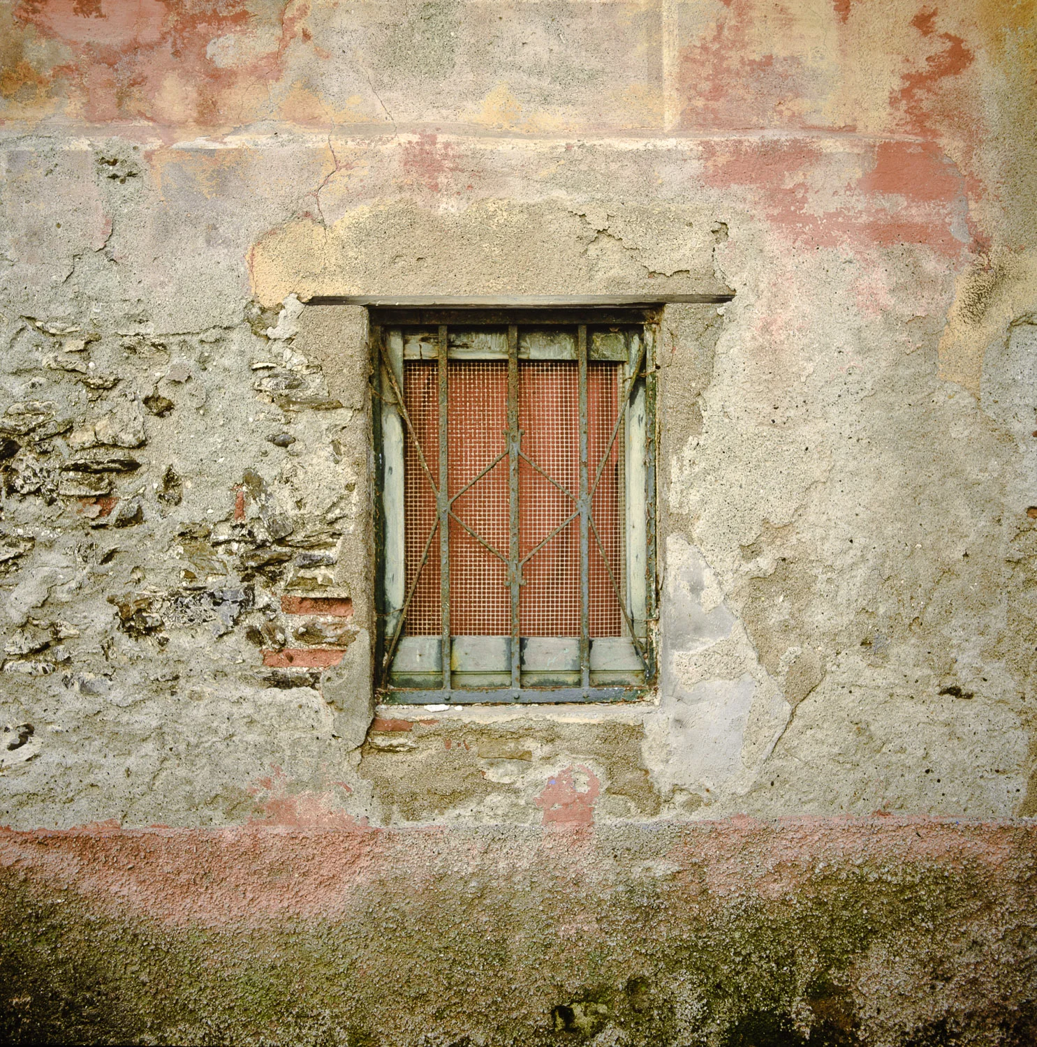 Cinque Terra, Italy #1