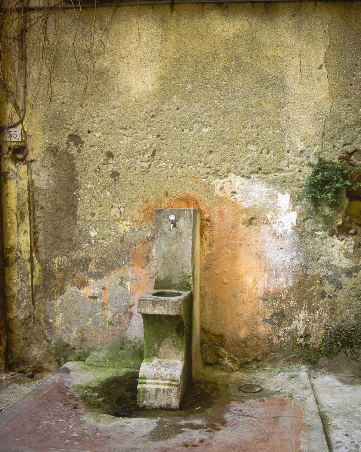 Cinque Terra, Italy #5