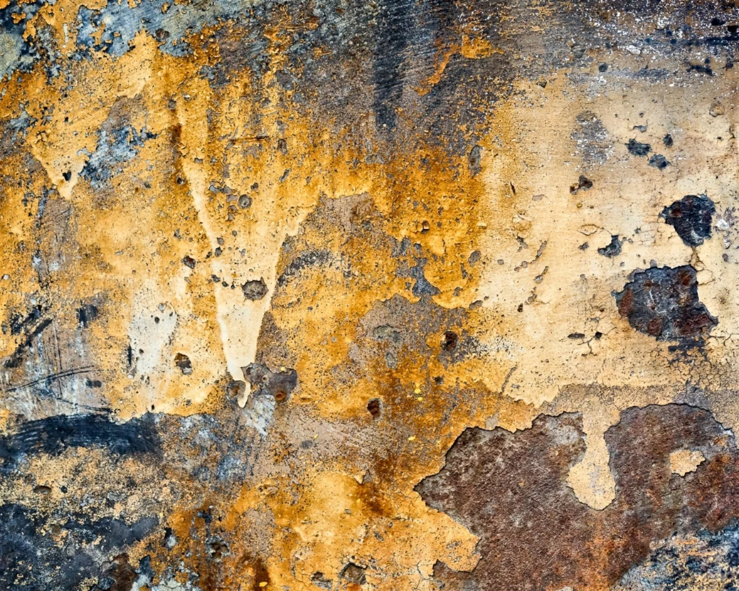Metamorphosis #3