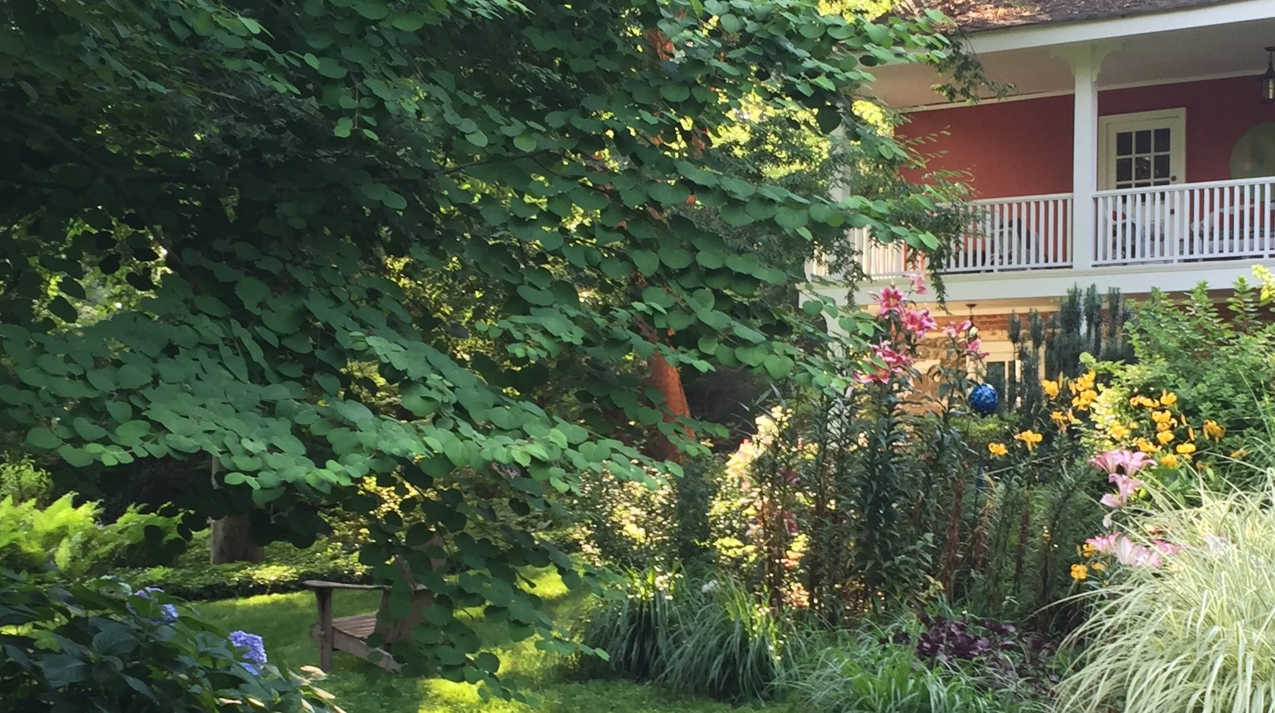 The house and gardens in July.