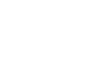 white---officialselection_bestdocument_la2016_2 (1).png