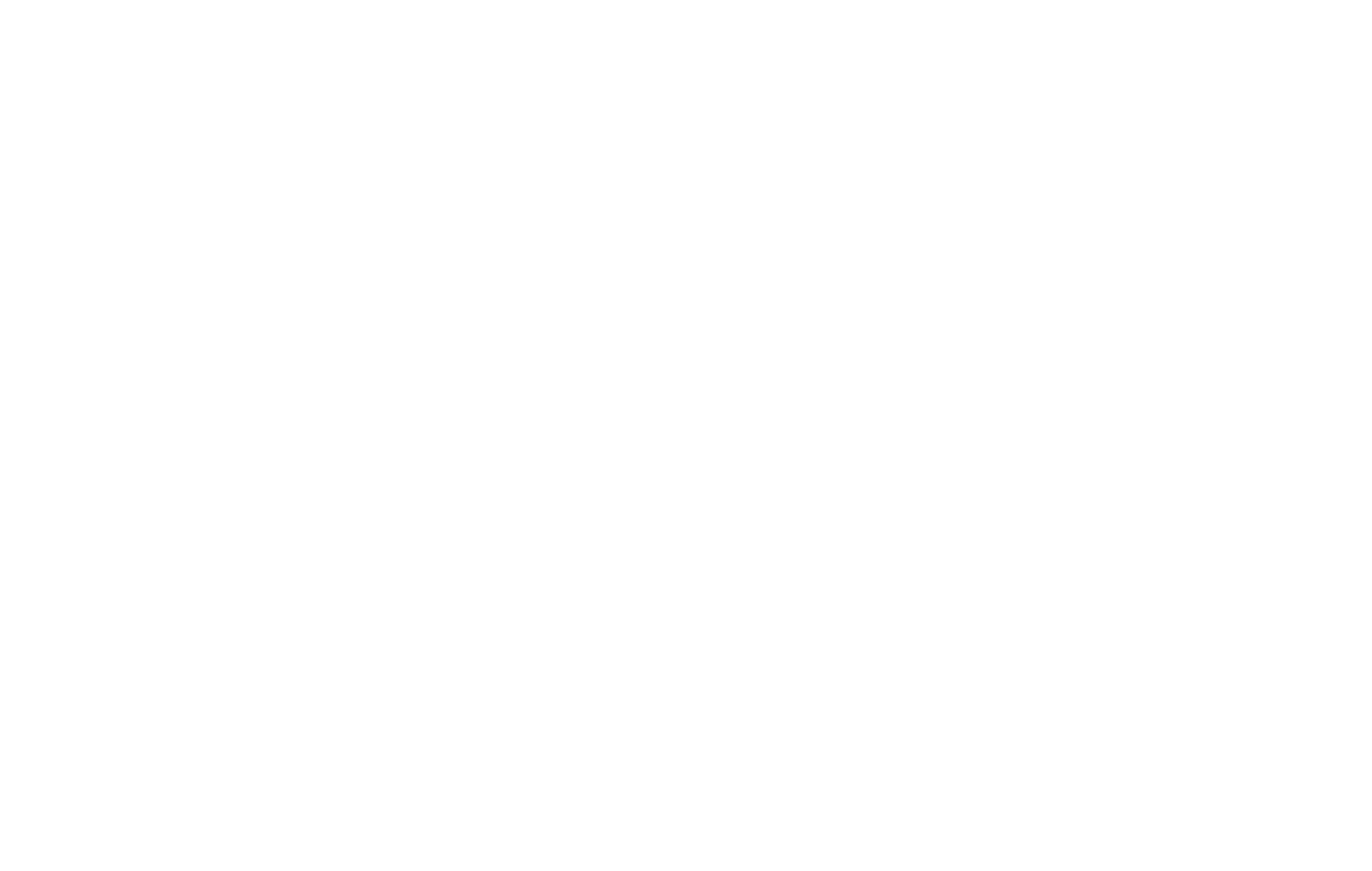 BLUEBIRD FINISHING