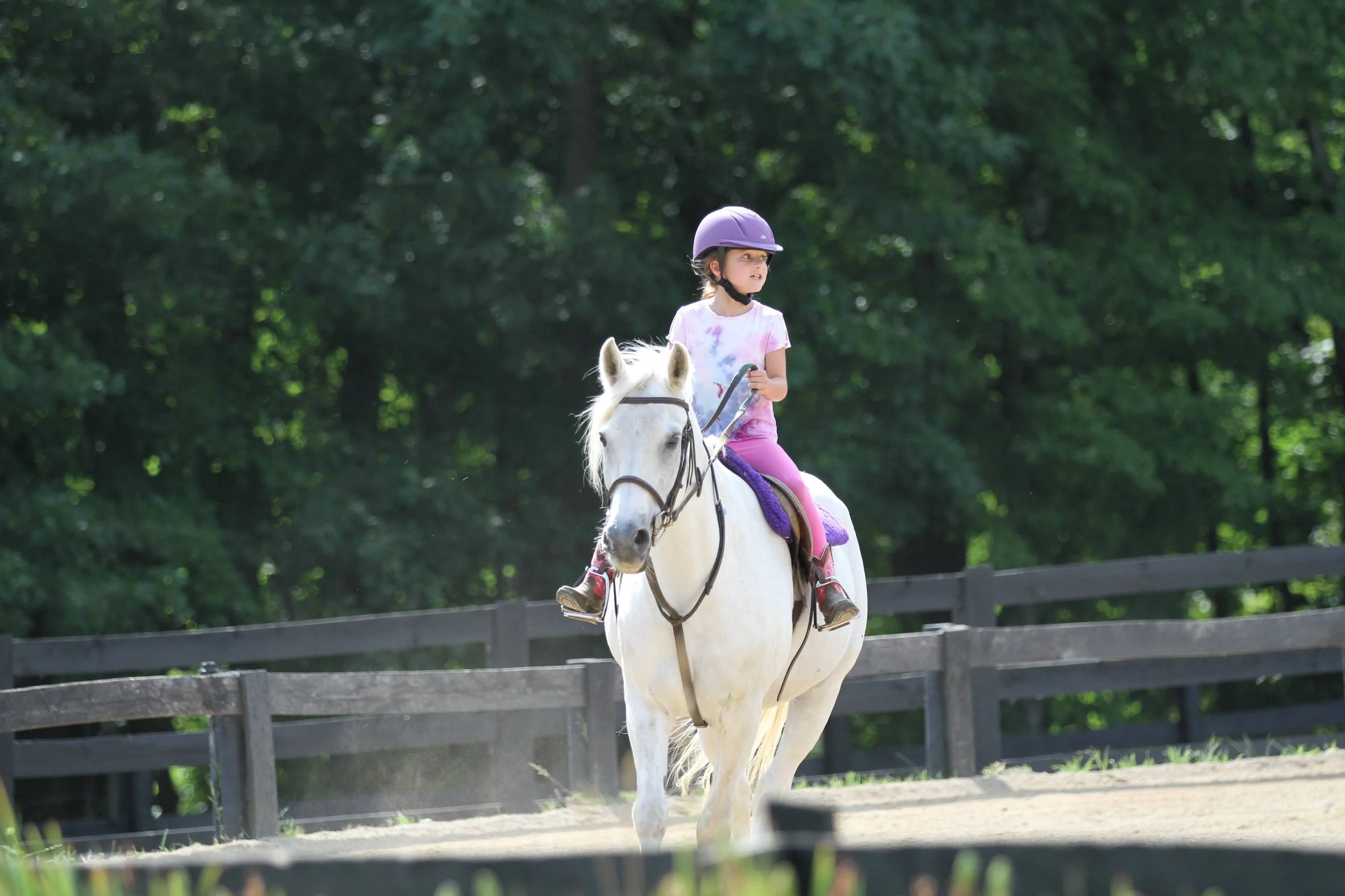 Horseback riding summer camp for kids in Oxford MI
