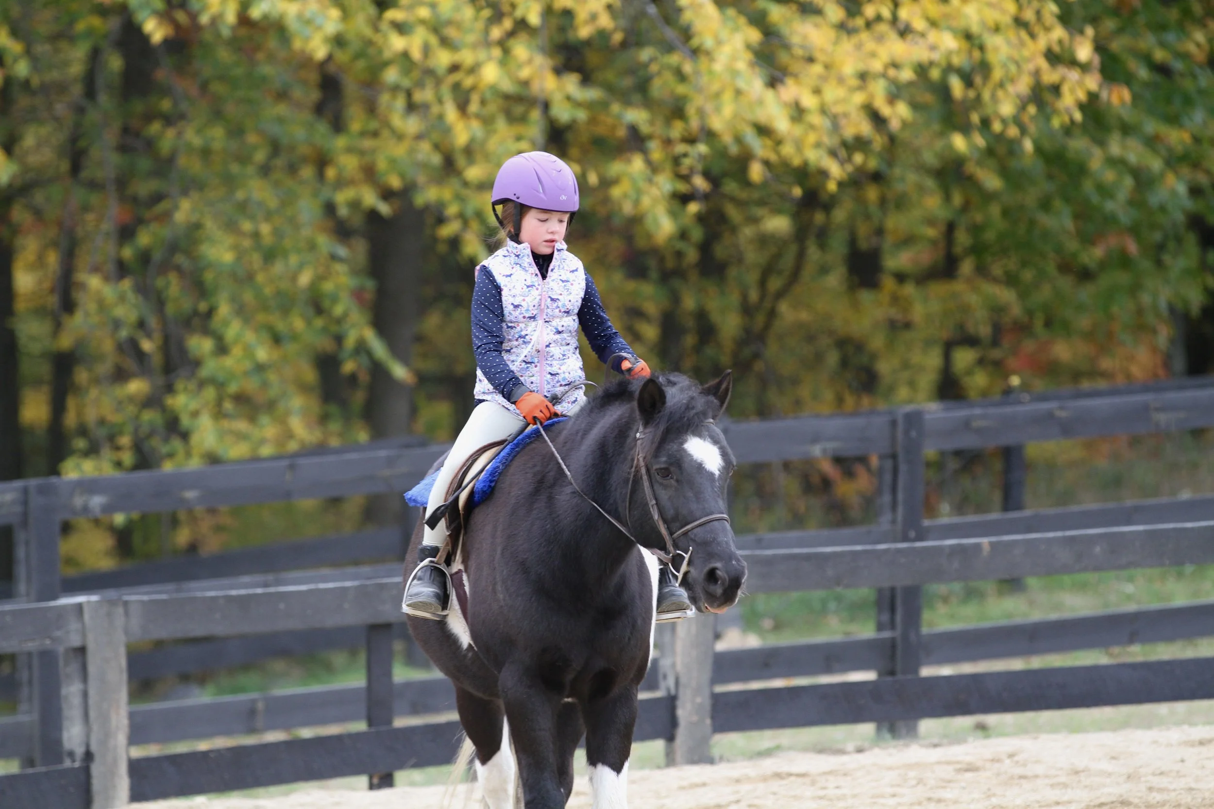 Child learning to ride at Shenanigans Farm in Oxford, MI”