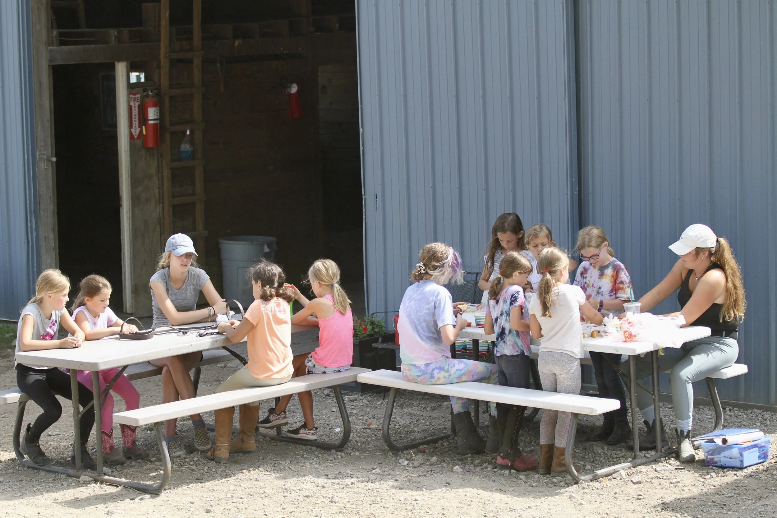 Parent-recommended horse camp for toddlers and young riders near Macomb and Oakland County
