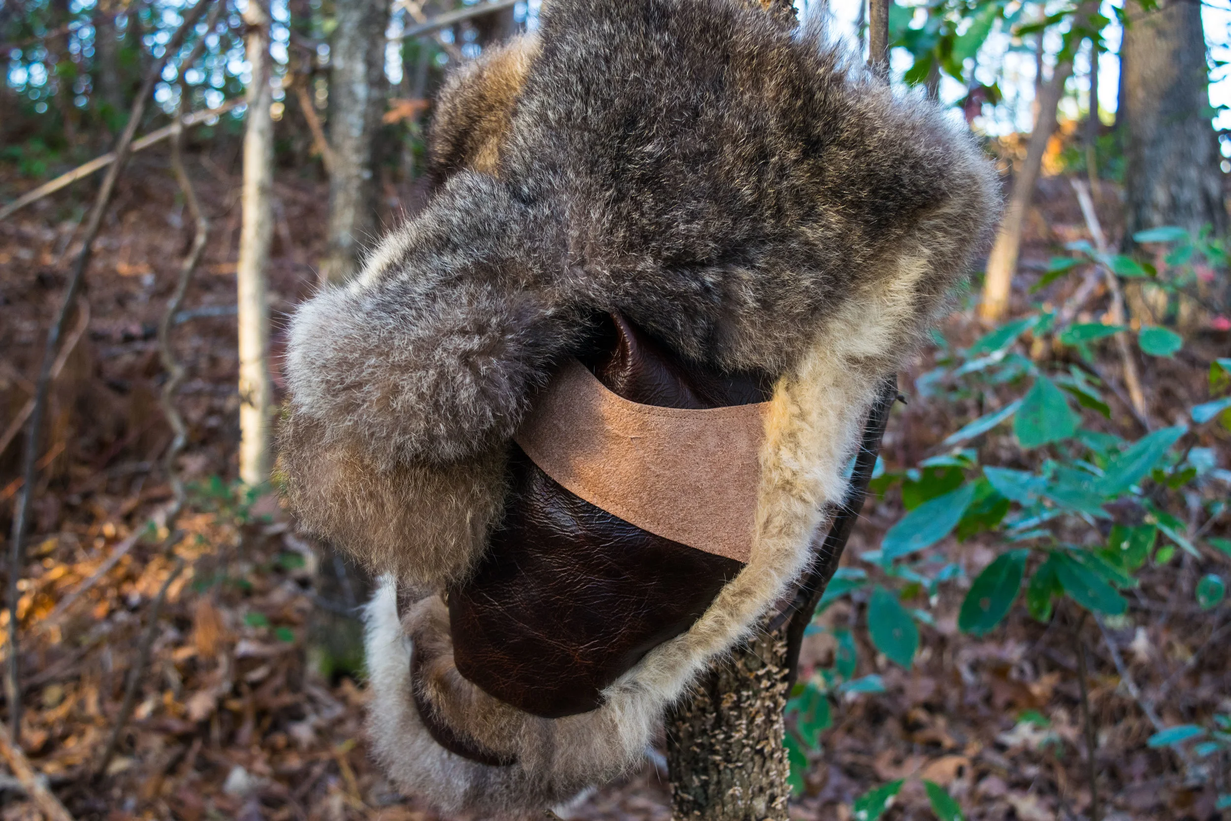 DSC_0027.jpg