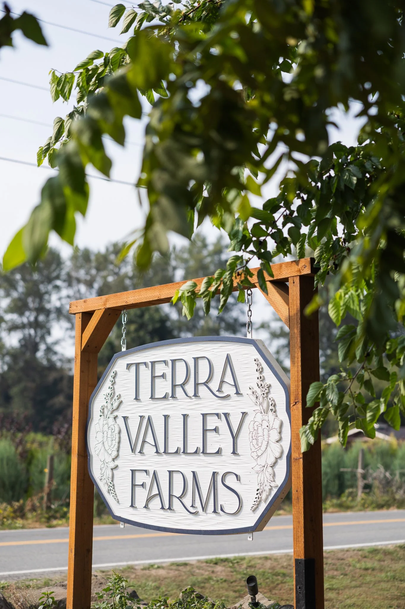 Terra-Valley-Farms-Wedding-47.jpg