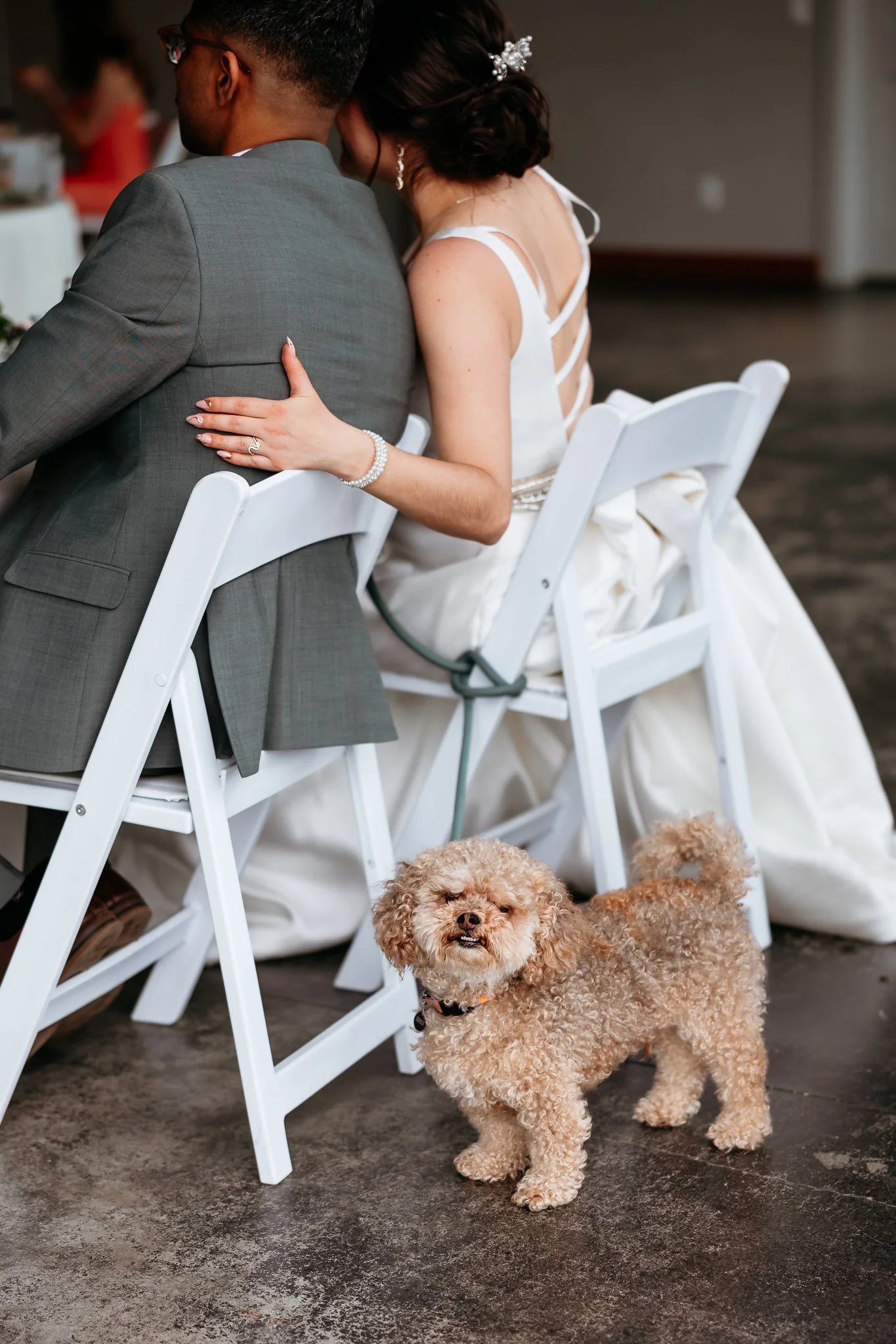 North-Fork-Farm-Wedding-Sarah-Campo-Photography-74.jpg