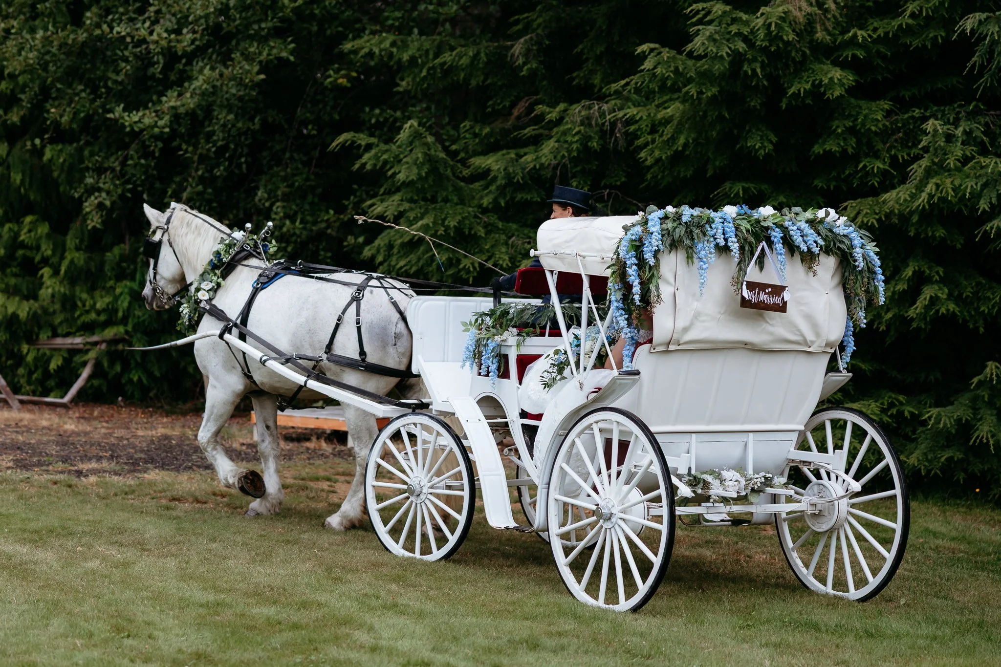 Your-Treasured-Events-Arlington-Wedding-Sarah-Campo-Photography-33.jpg