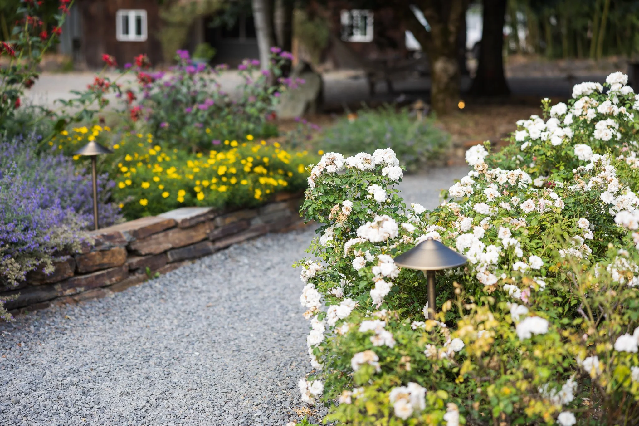 Terra-Valley-Farms-Wedding-106.jpg