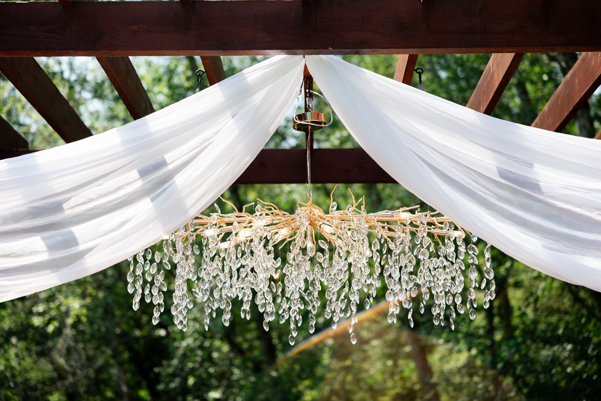 Cedar Springs, Port Orchard Wedding Photos