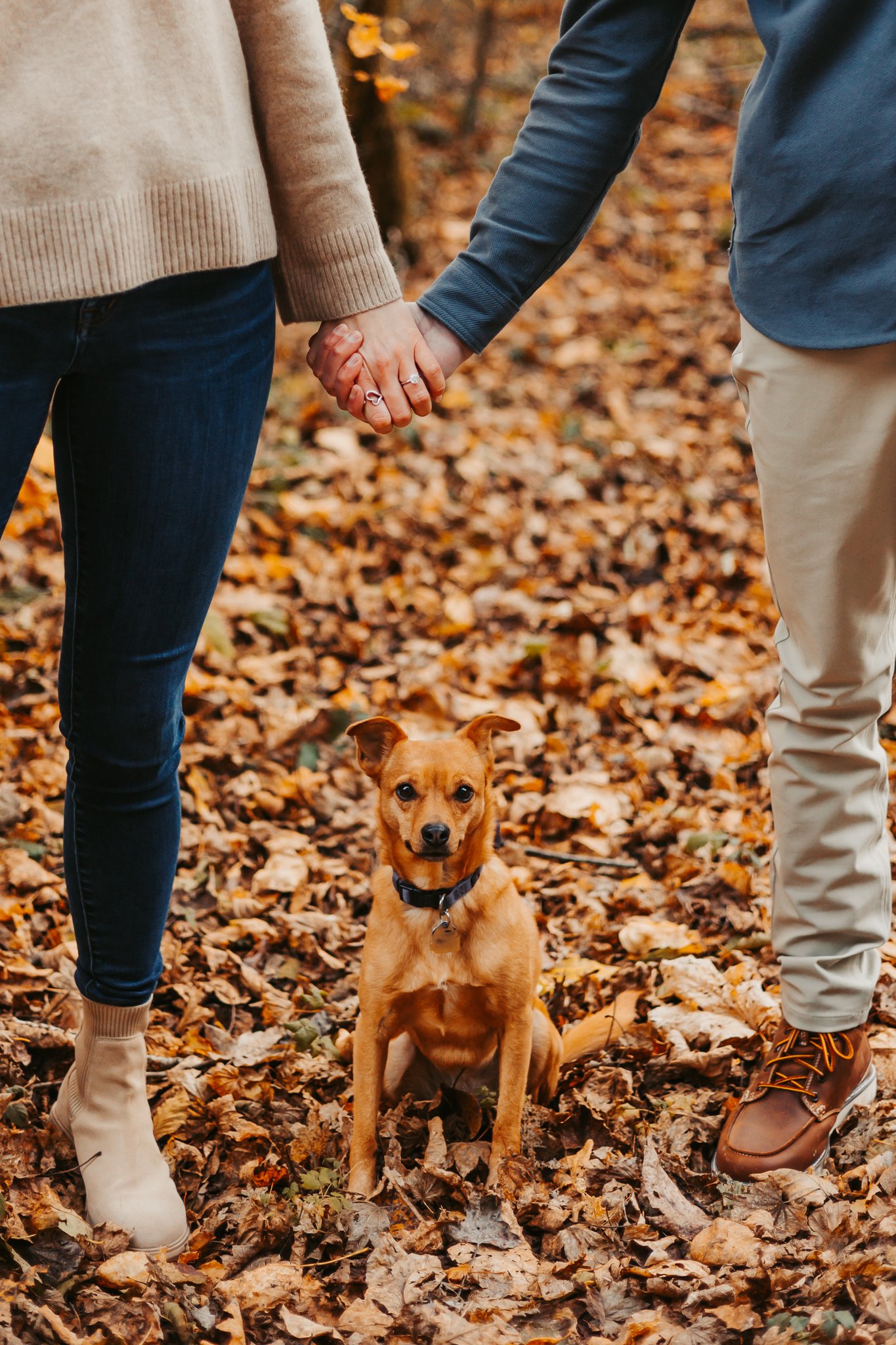 Fall Rattlesnake Lake Engagement Photos