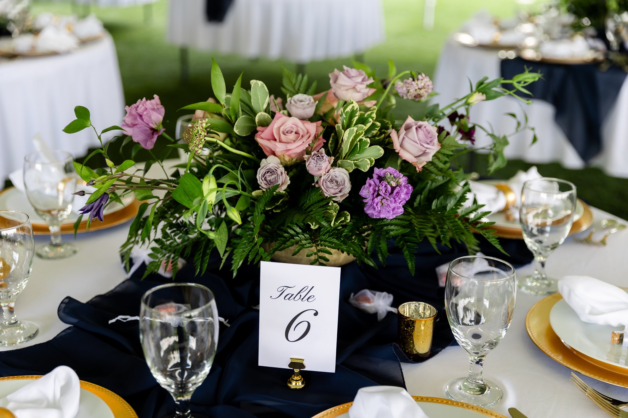 The Carey Gardens Wedding Photos
