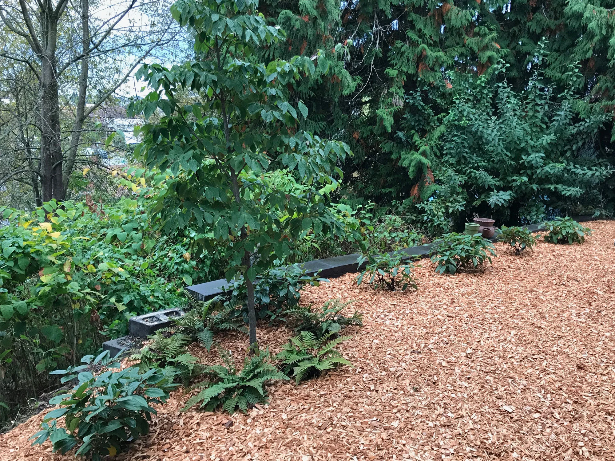 mulch_web.jpg