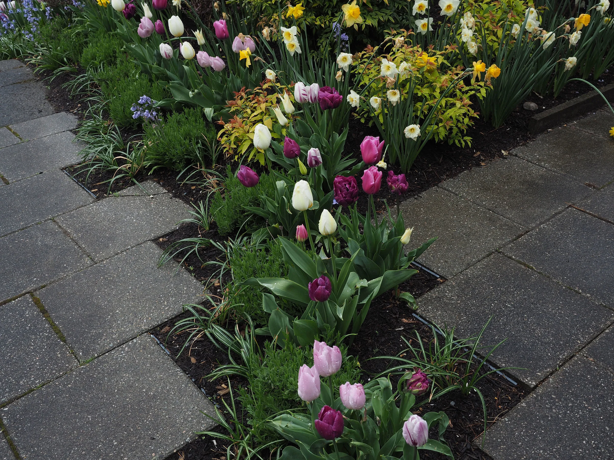 Seasonal Planting