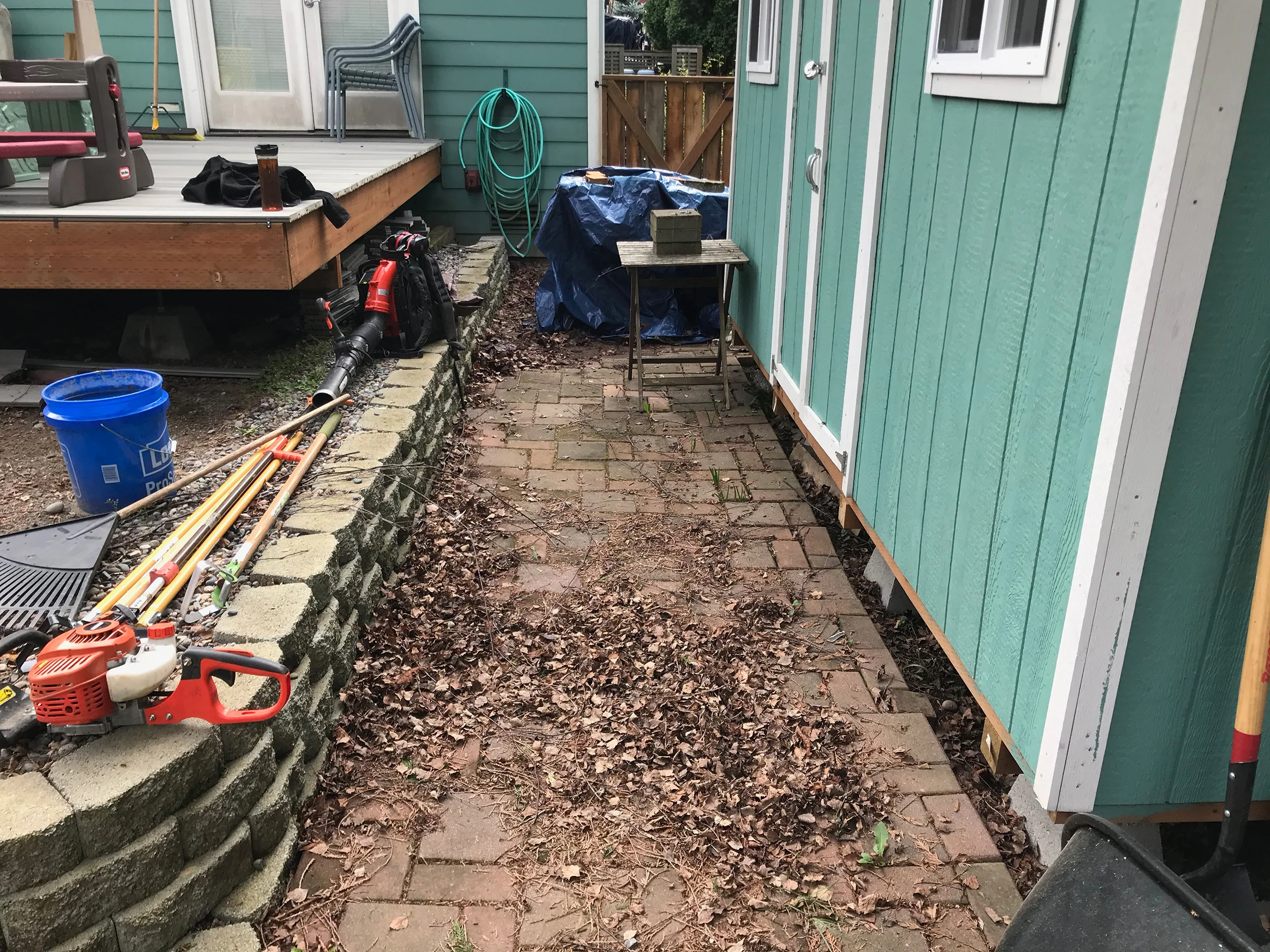 Fall Clean Up Before