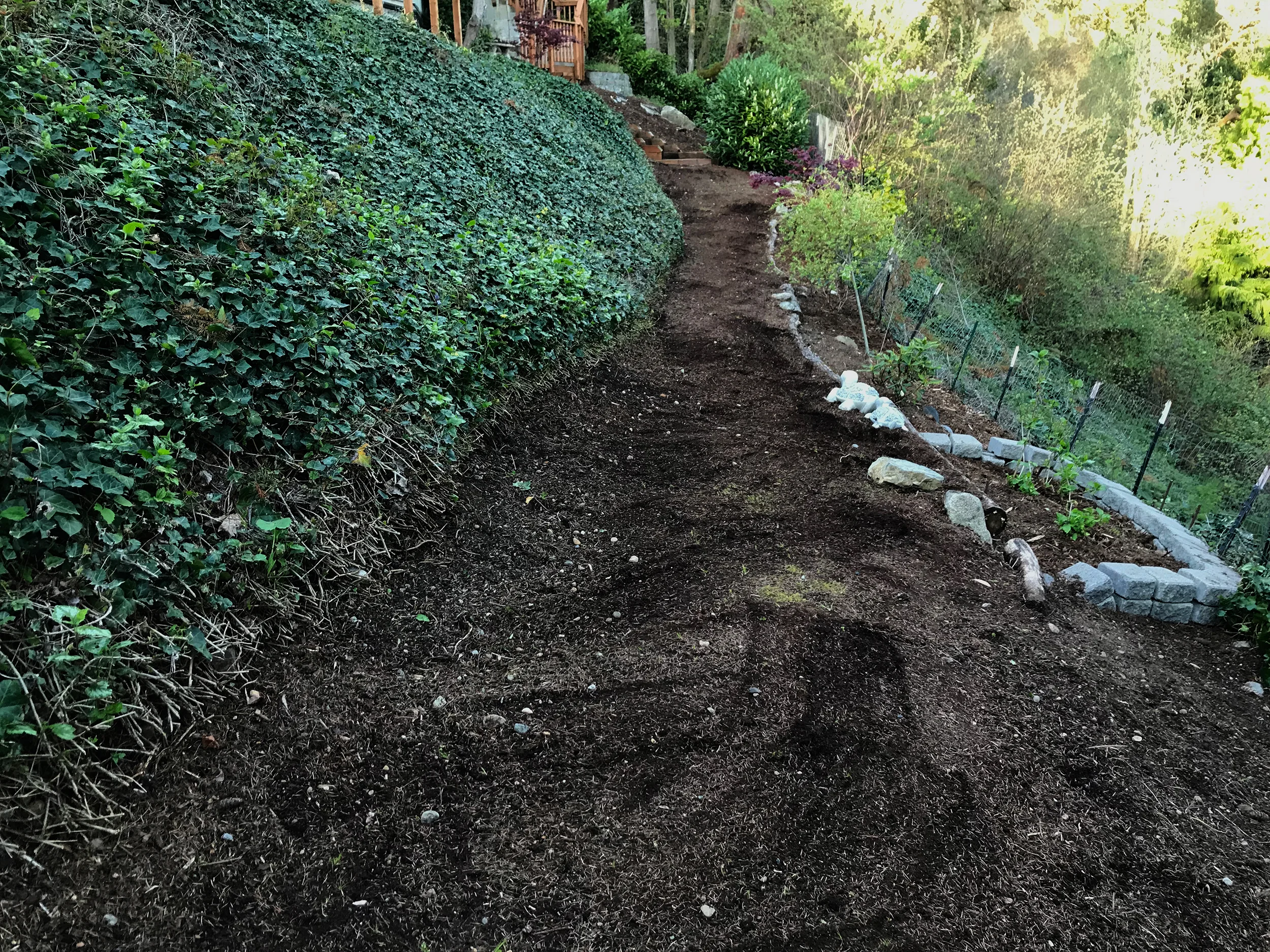 Clean Up After