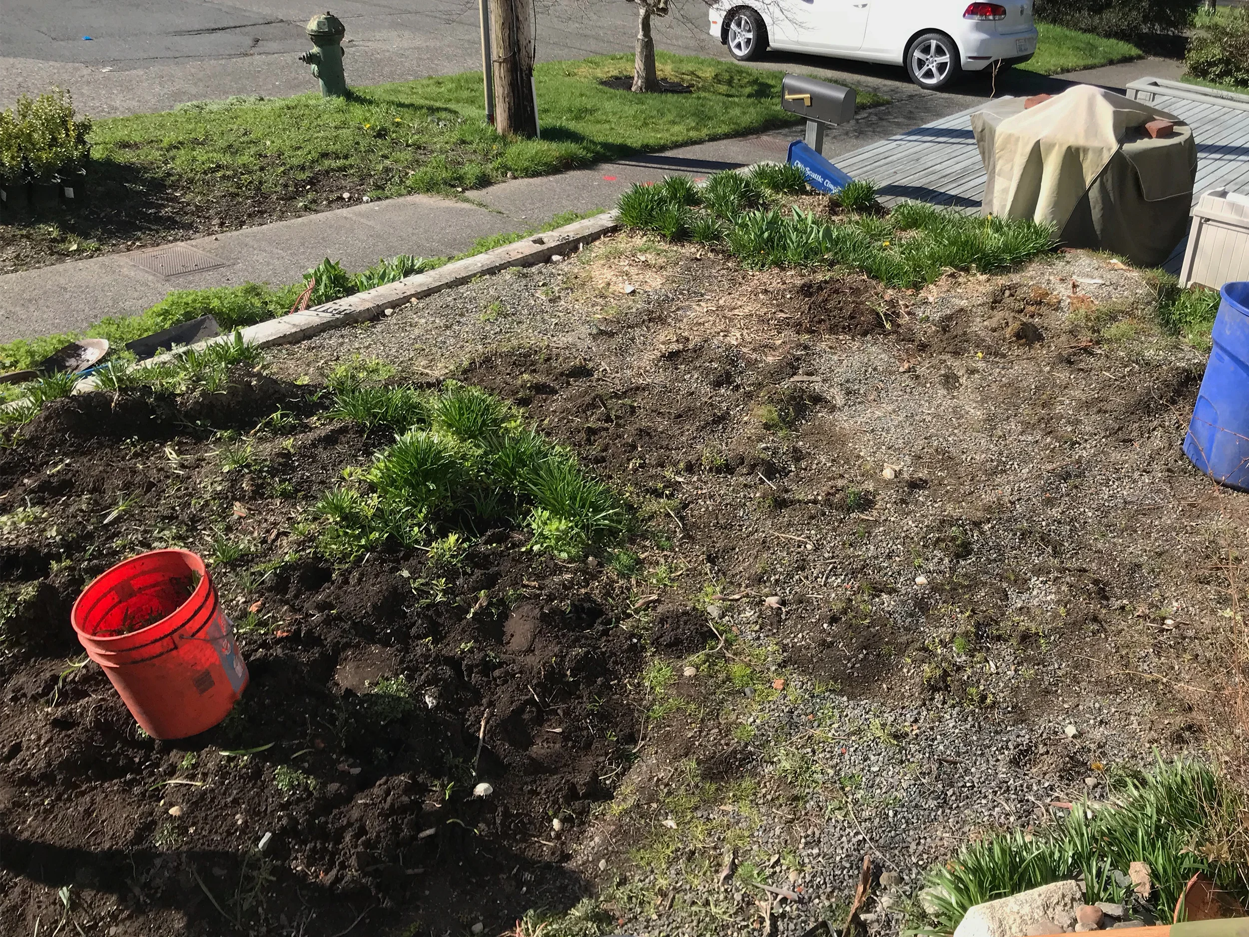 Garden Renovation Before