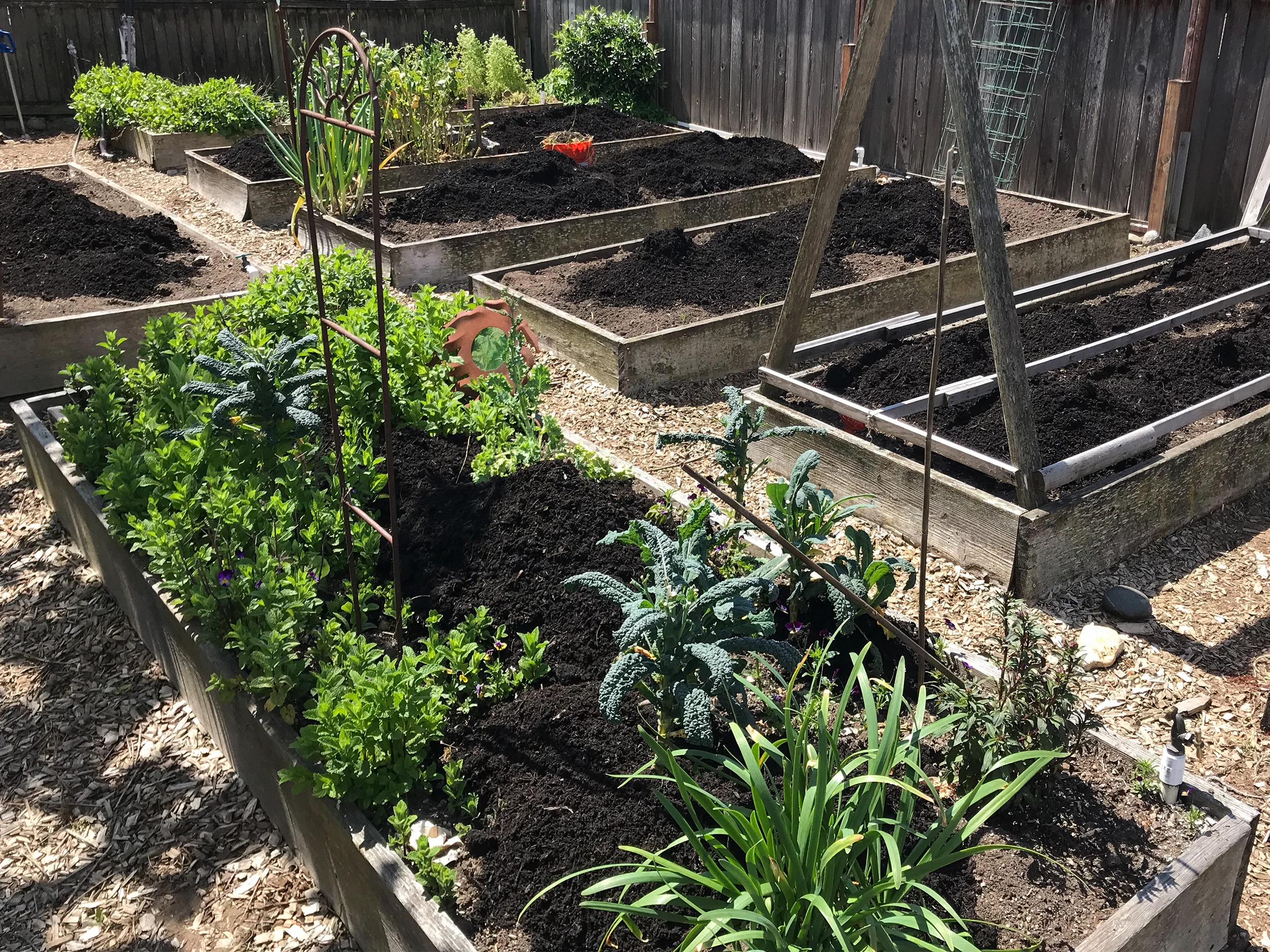 Mulch Before
