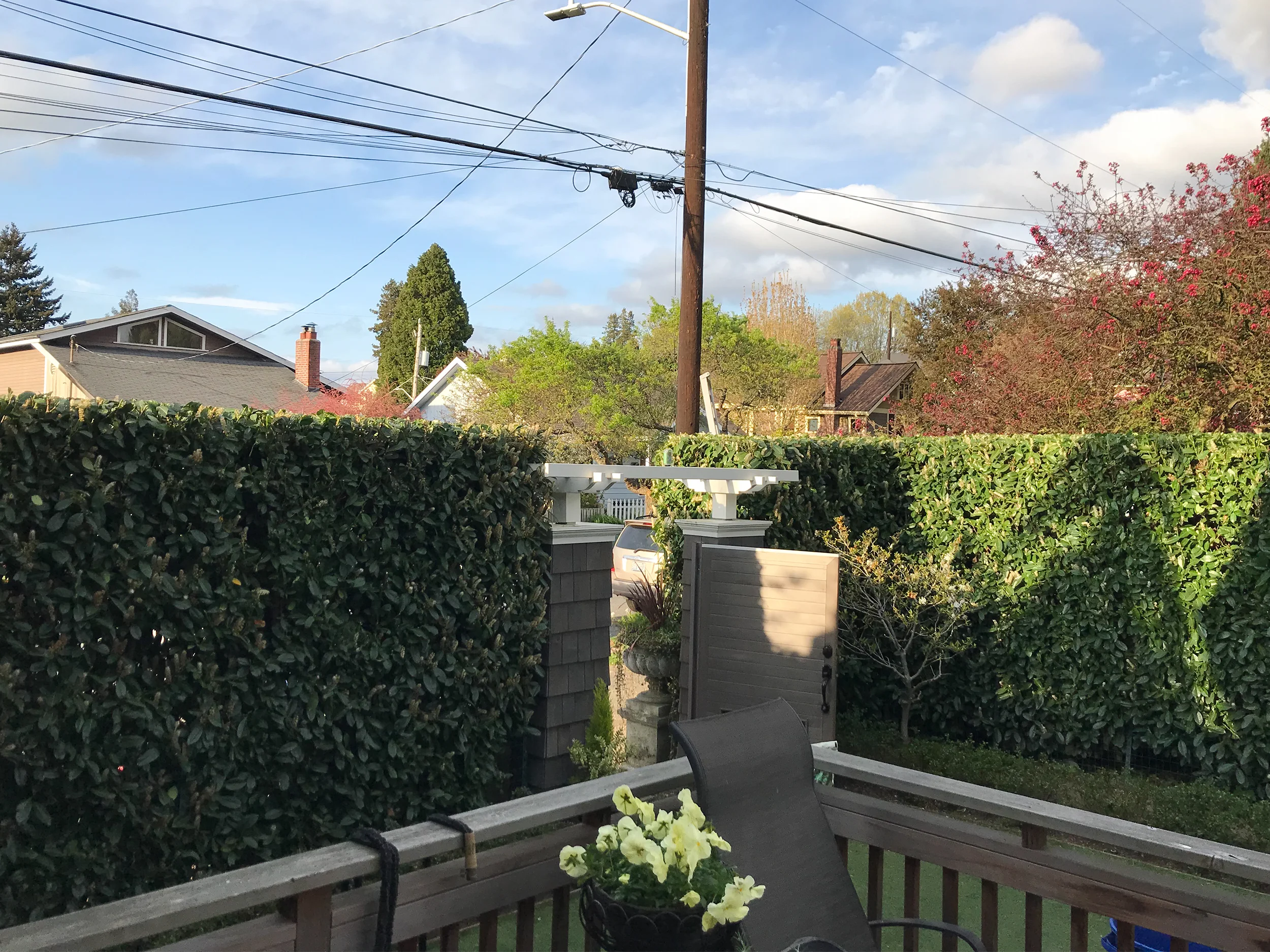 Hedge Pruning