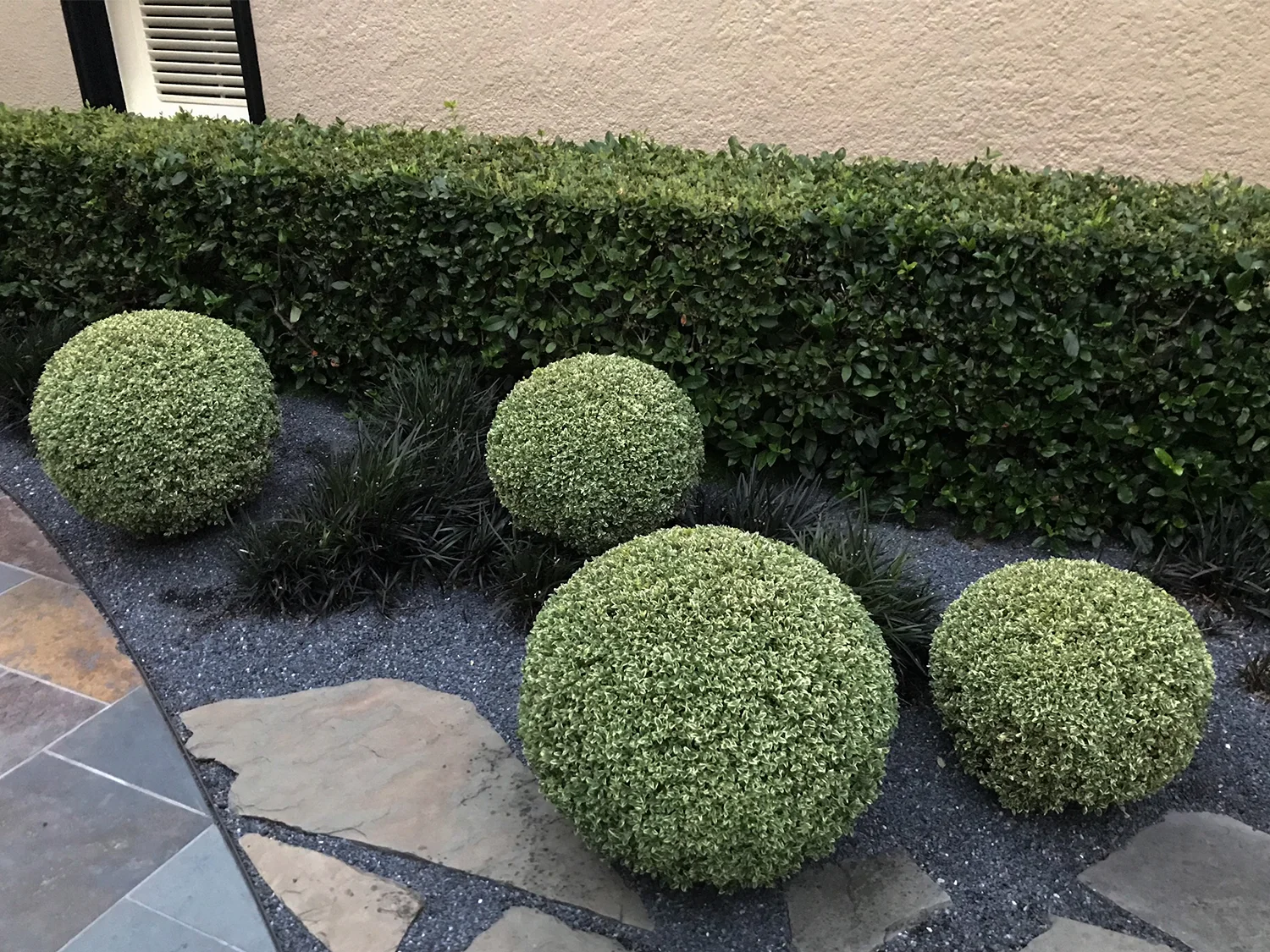 BallTopiary3-w.jpg