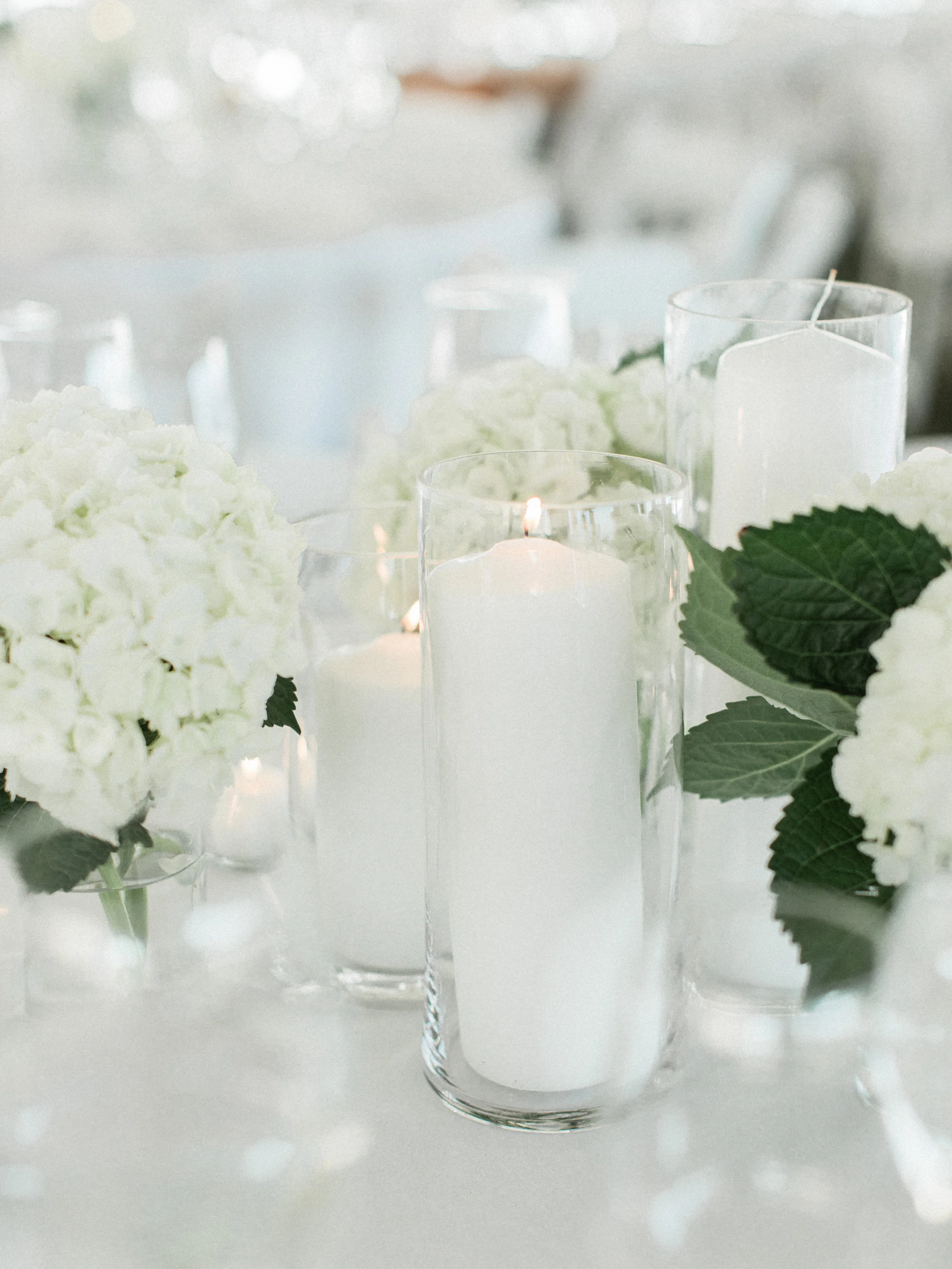 Photo by meredithjanephoto