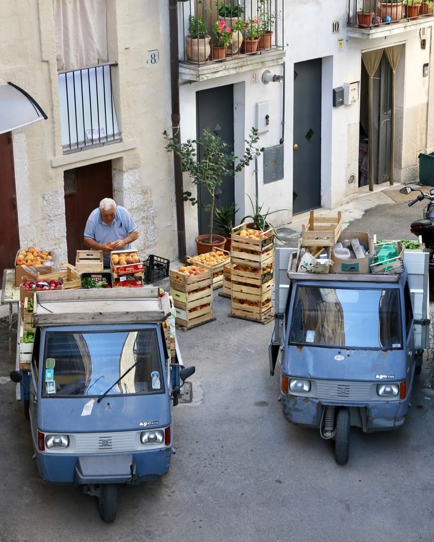 Sorting peaches. Puglian summer. ❤️