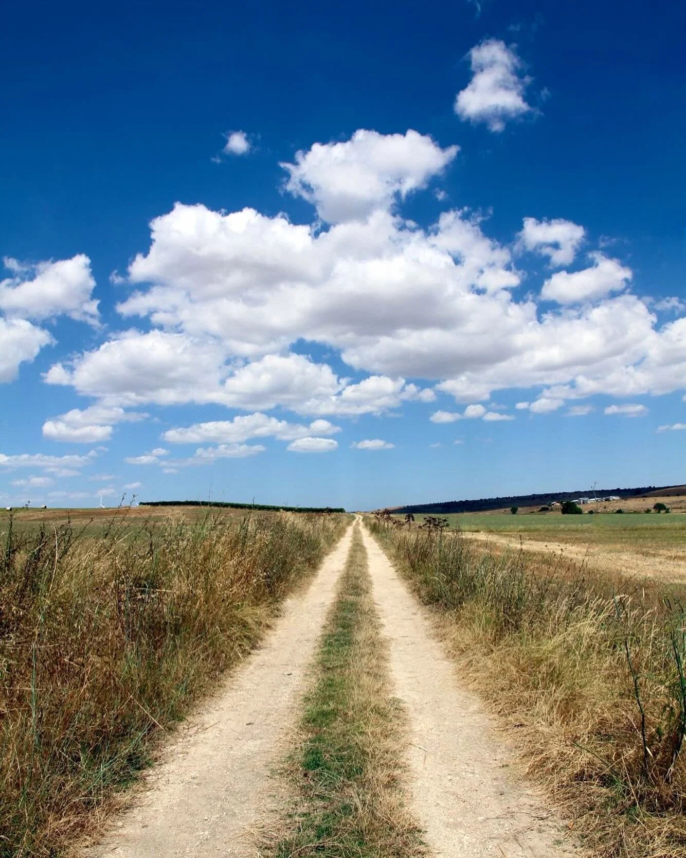 Taking the road less travelled. ❤️