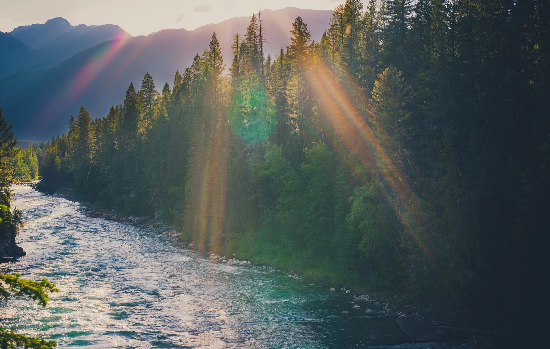 rafting-golden-bc.jpg