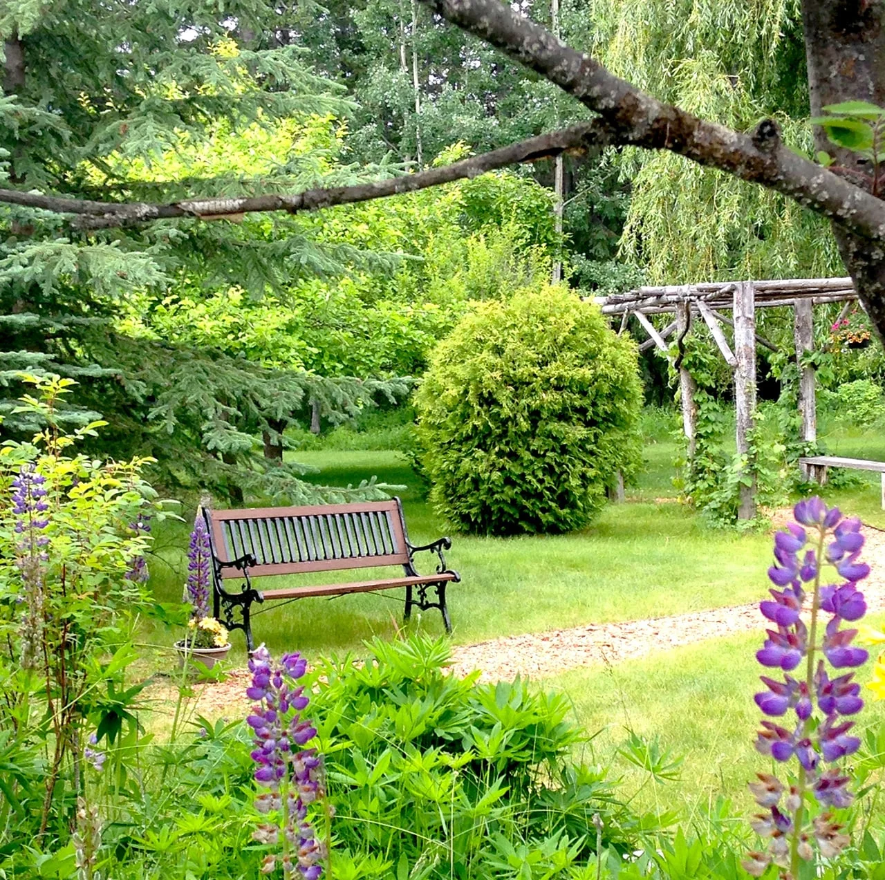 Gardens and Views and Lots of Space to Relax The lodge is surrounded by beautiful gardens, with flowers in bloom throughout the spring, summer and fall. Find one of our chairs or benches and relax for as long as you'd like.