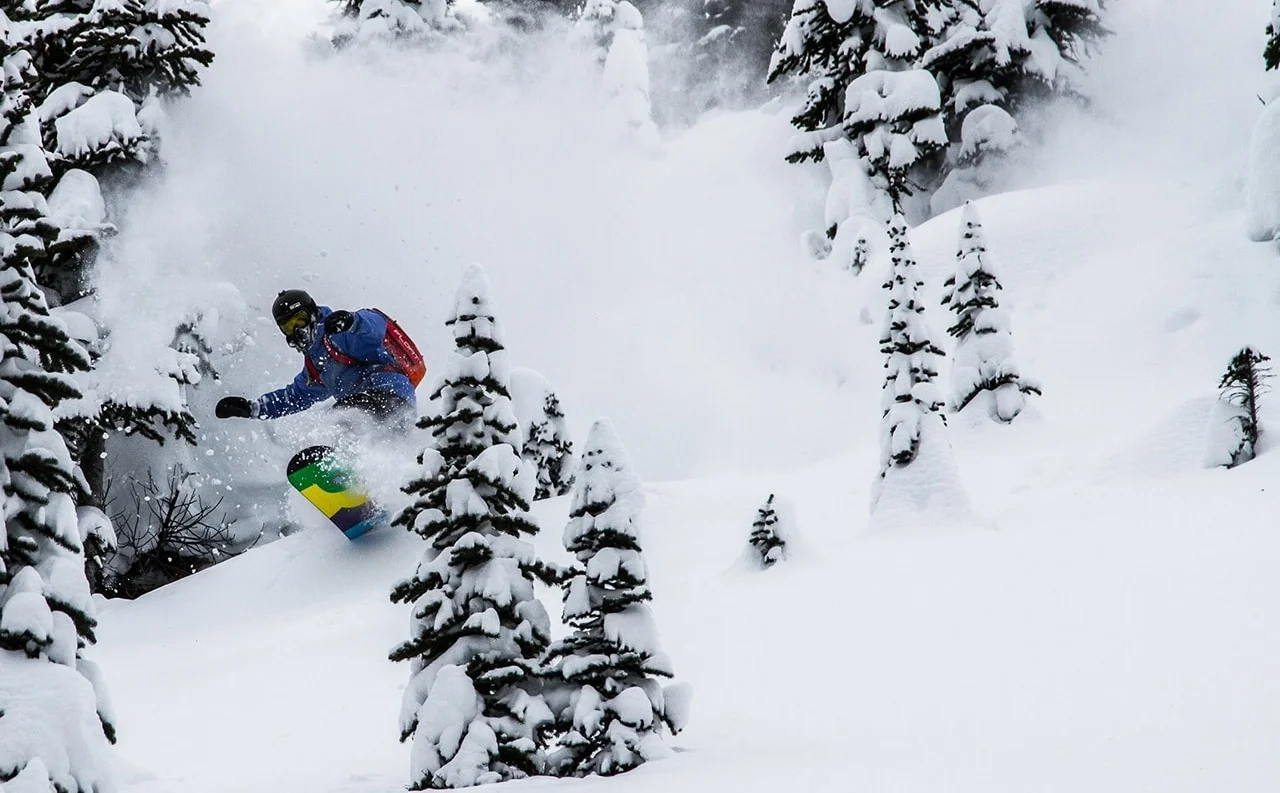 Nothing beats first tracks on a powder day at Kicking Horse Mountain Resort!
