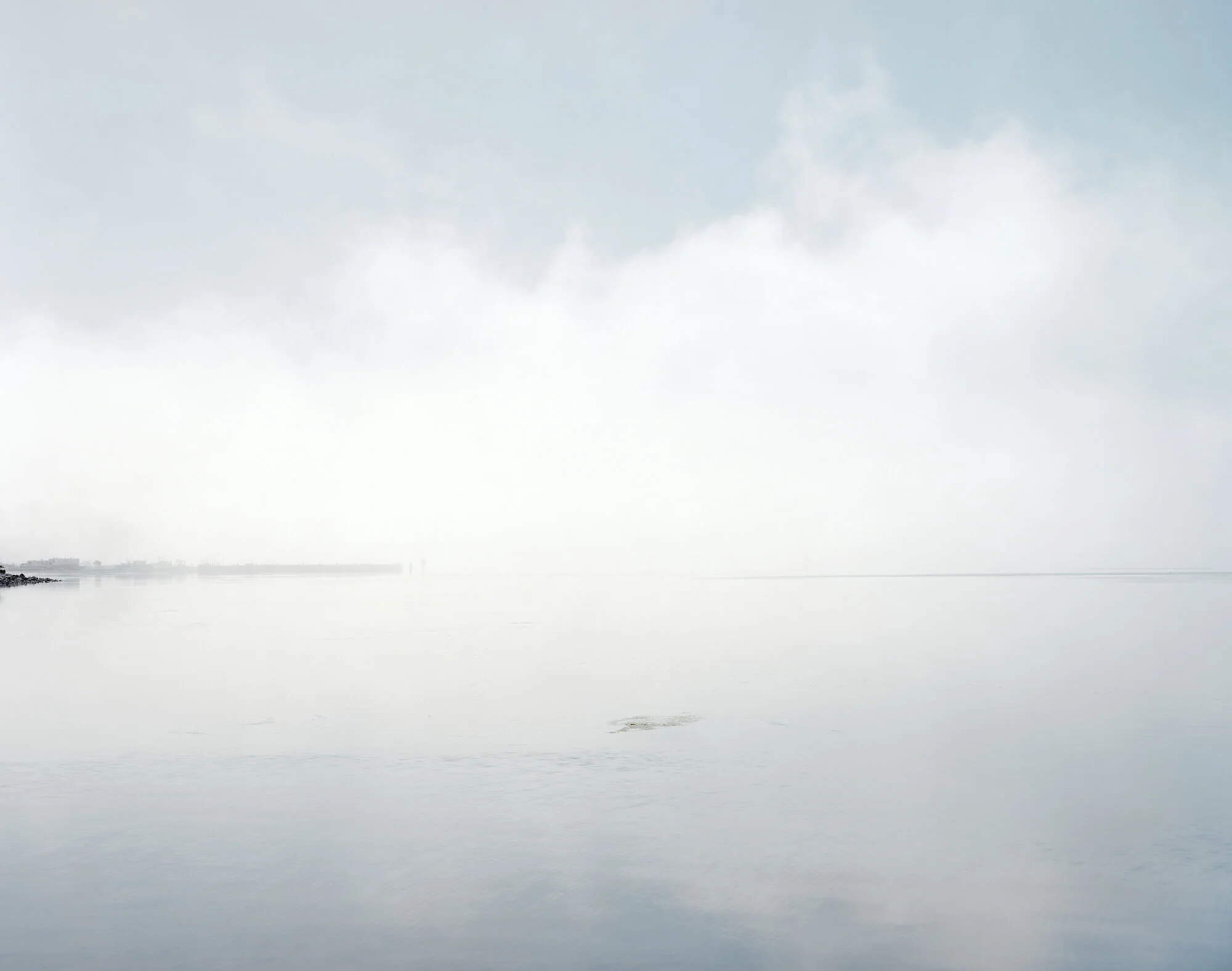 Bodega Bay, California, 2008 Melanie Daniels was boating across this bay when she was unexpectedly and violently struck in the head by a passing bird. The incident was the first in a dramatic series of unprompted bird attacks that plagued the tow