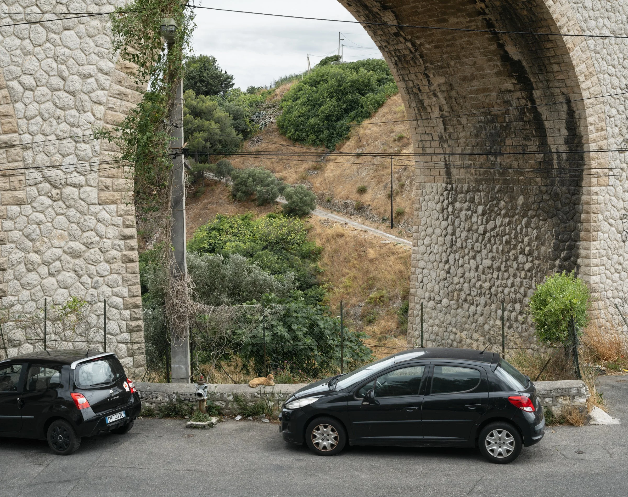 cat_viaduct_l'estaque_01.jpg
