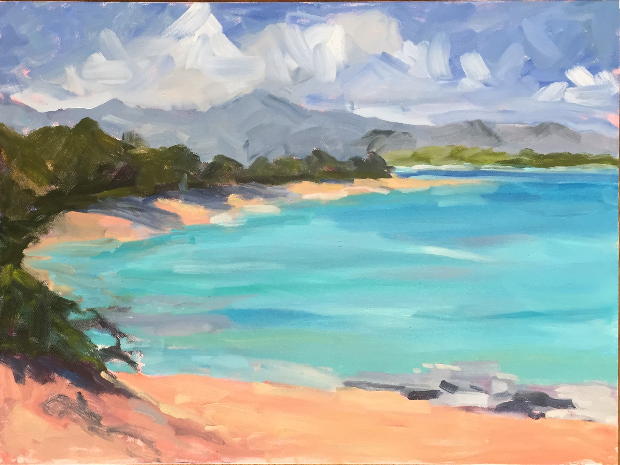 24 x 18 Oil on canvas