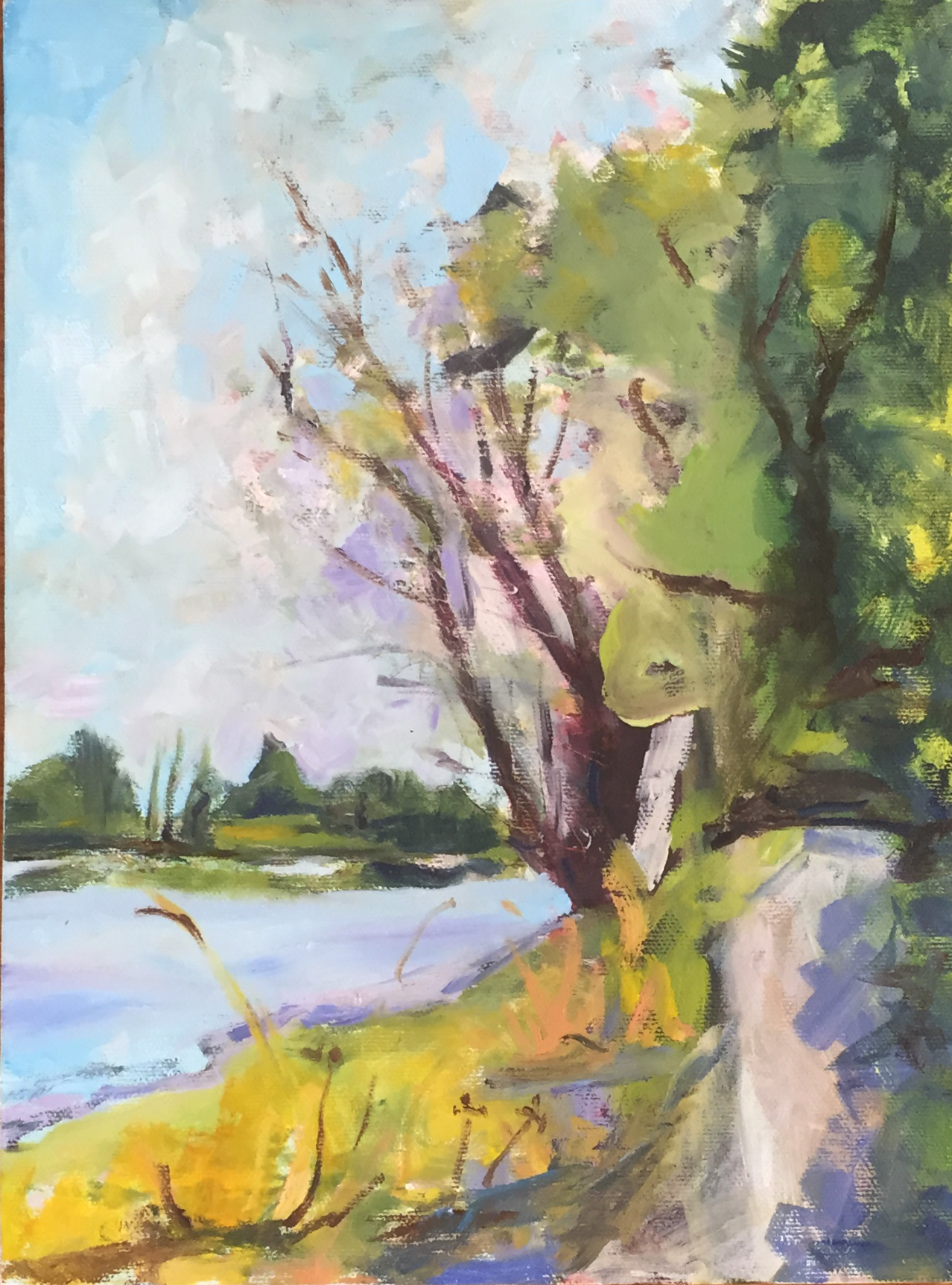 12 x 9 Oil on canvas $240