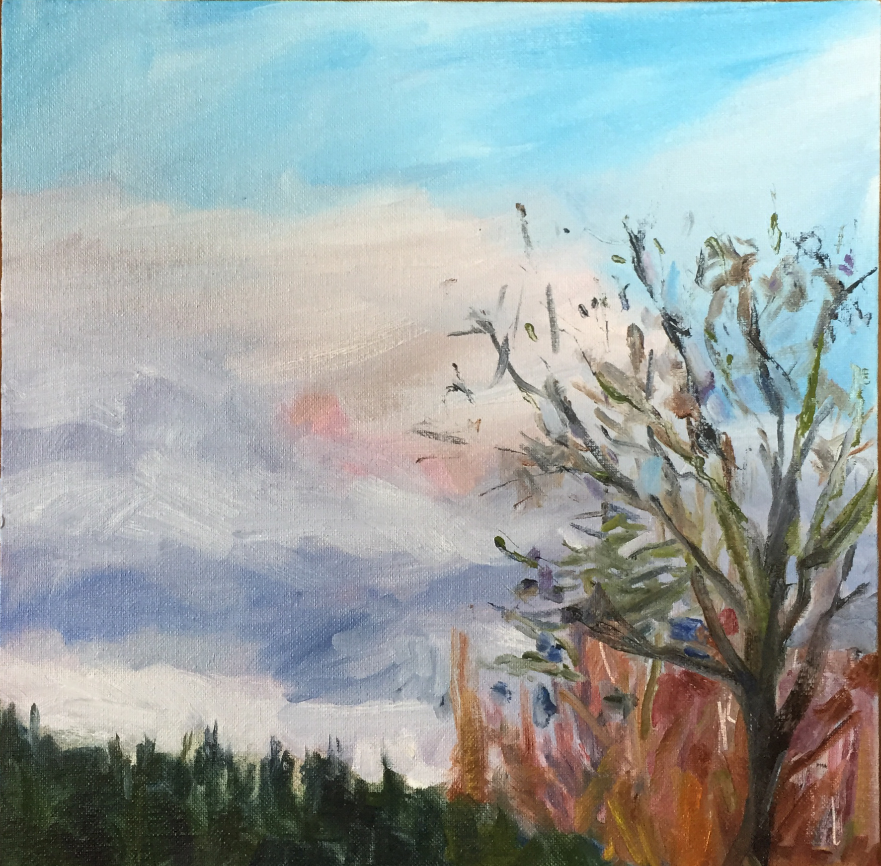 Branches