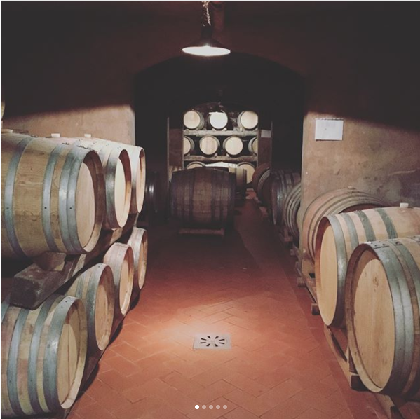 Sonic Palate - Houston Wine Consulting - Events - Italy Education Tour - Alberto Longo Cellar.png