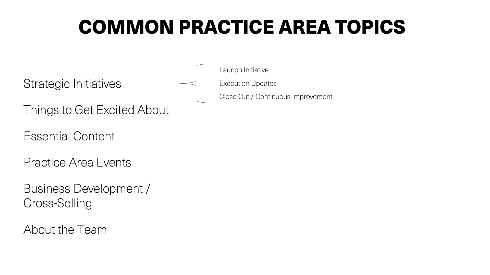 Practice Area Leaders Slide03.png