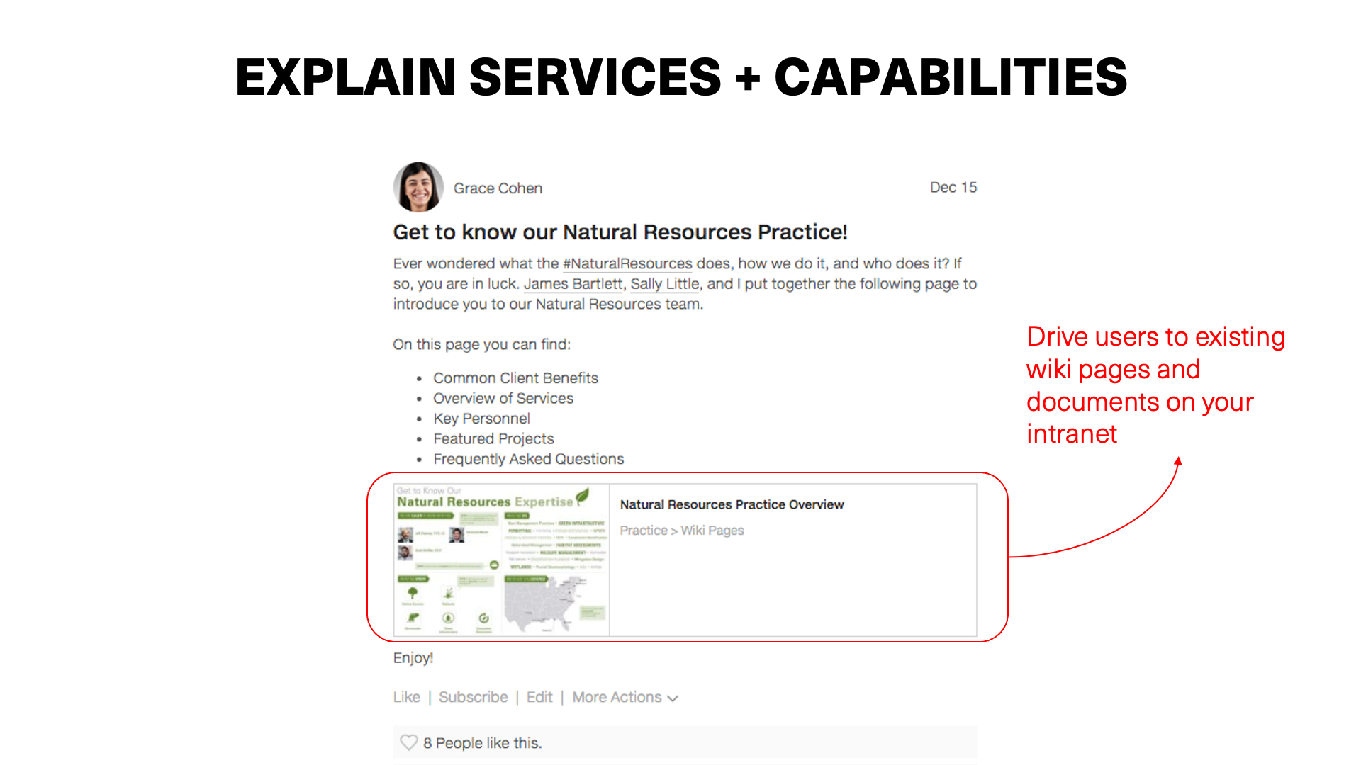Practice Area Leaders Slide20.png
