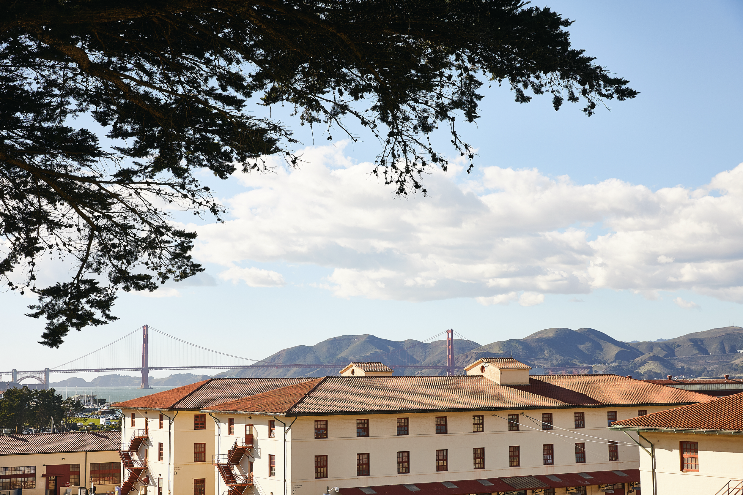 Leveling Up as Learning Organizations |  Executive Workshop 2026