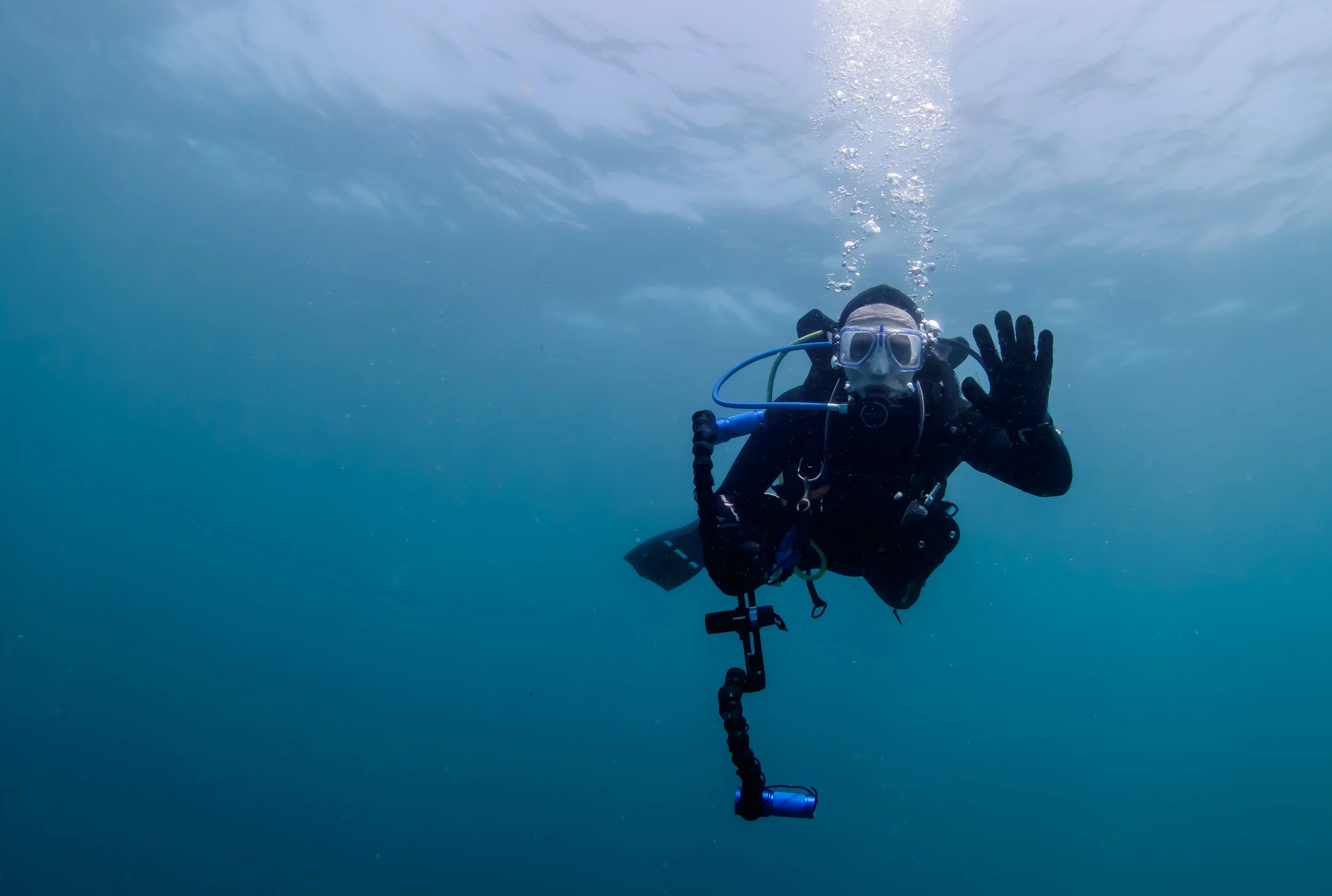Diver