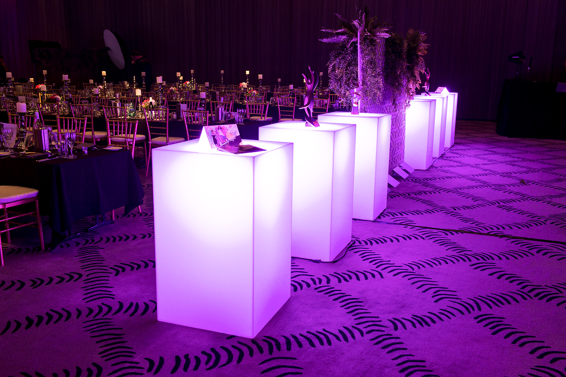 Lumino-Adelaide-Thunderbirds-Gala-03.jpg