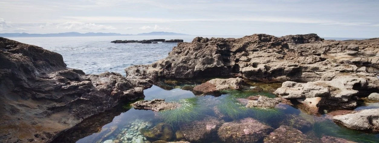 iStock-175443967_tidepools.jpg