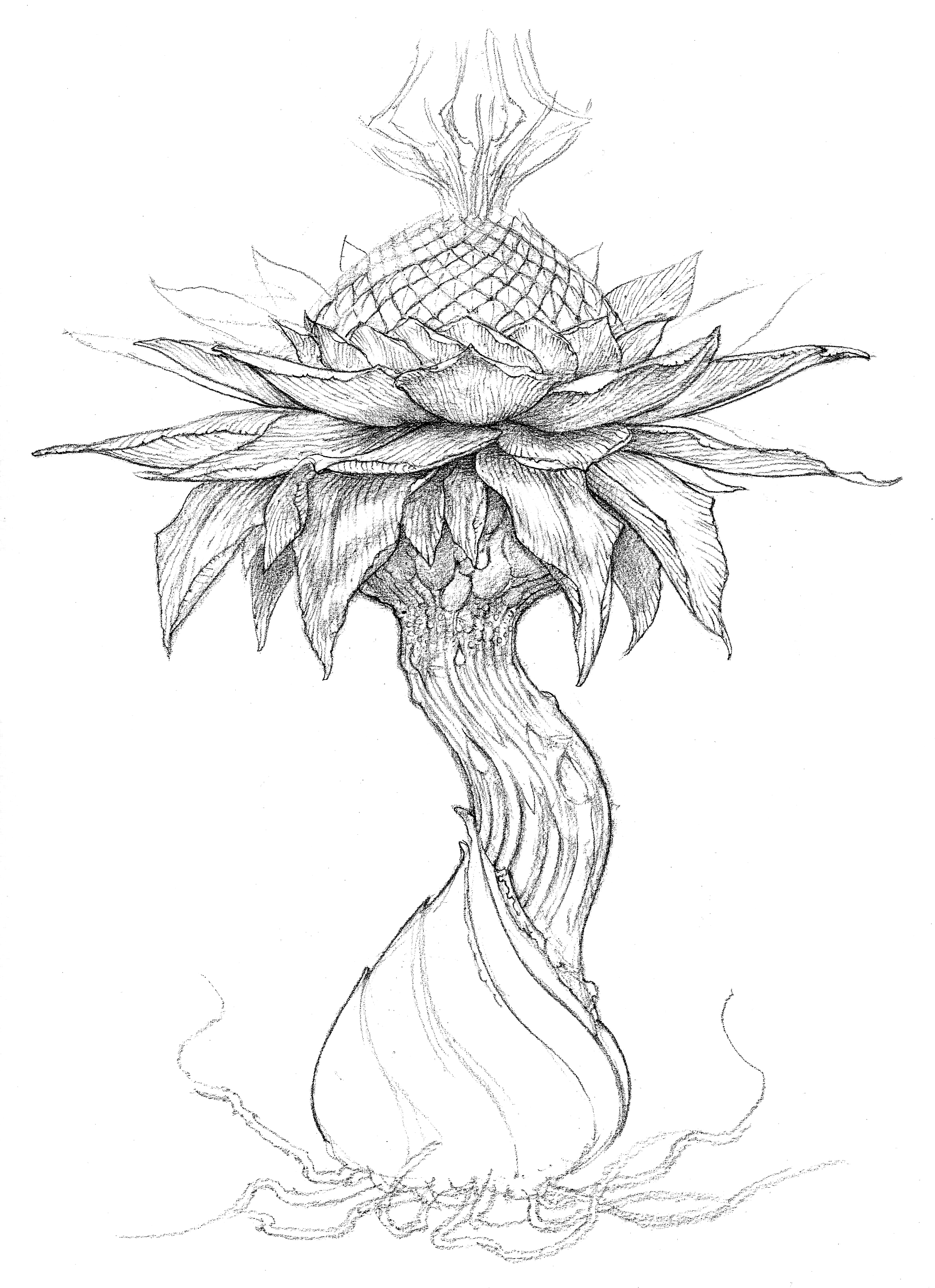 Godfrey's Flower 3 copy.png