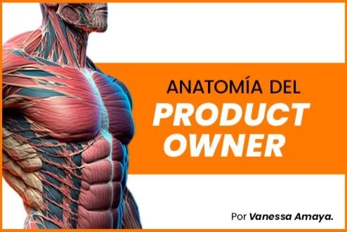Product Owner (Anatomía) | Infografía
