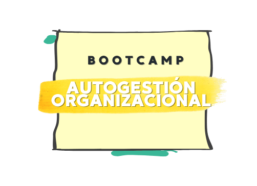 Autogestión organizacional - Bootcamp